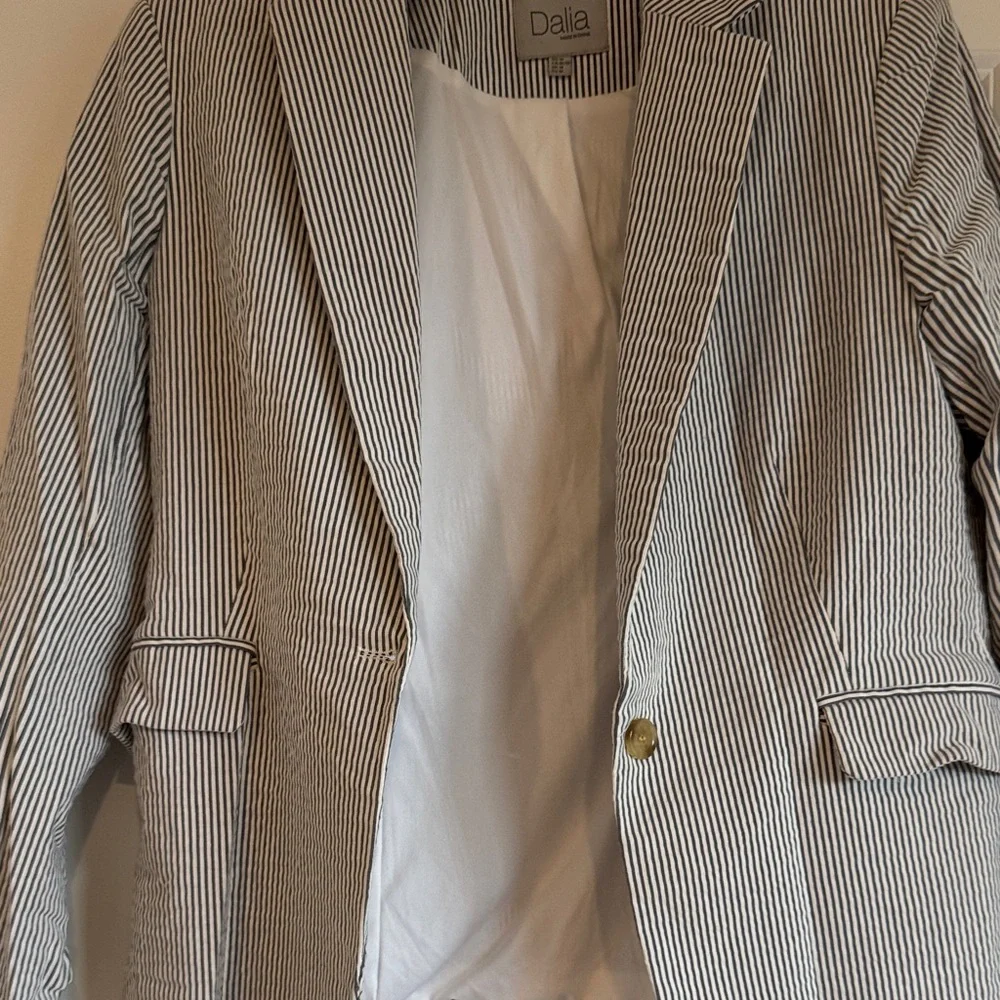 Dalia Pinstripe Blazer in Blue and White - Picture 4 of 5